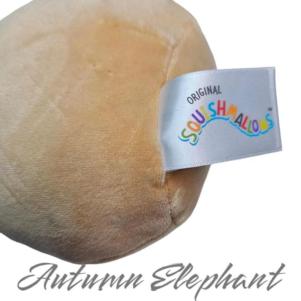 NWT Deja Poptart Squishmallow - Picture 5 of 8